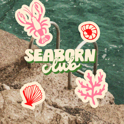 Identité visuelle Seaborn Club